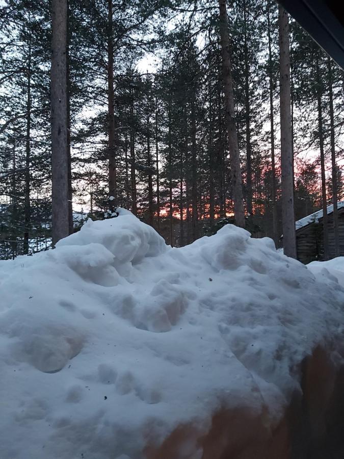 Appartement Levi Pikkurakka 4A4 à Kittilä Extérieur photo
